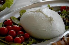 mozzarelladibufala.jpg